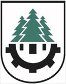 logo_czarna_bialostocka